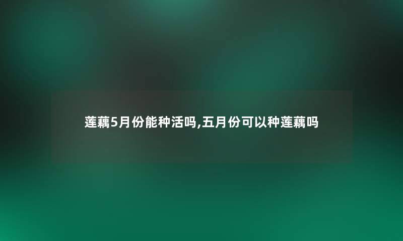 莲藕5月份能种活吗,五月份可以种莲藕吗 莲藕5月份能种活吗,五月份可以种莲藕吗