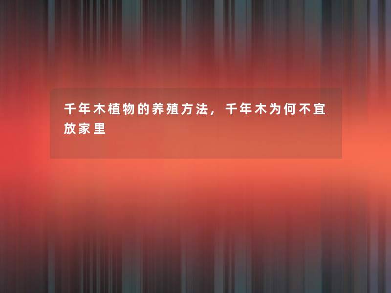千年木植物的养殖方法,千年木为何不宜放家里