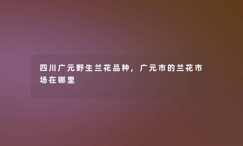 四川广元野生兰花品种,广元市的兰花市场在哪里 四川广元野生兰花品种,广元市的兰花市场在哪里