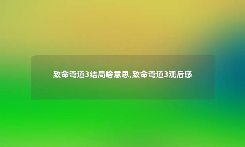 致命弯道3结局啥意思,致命弯道3观后感