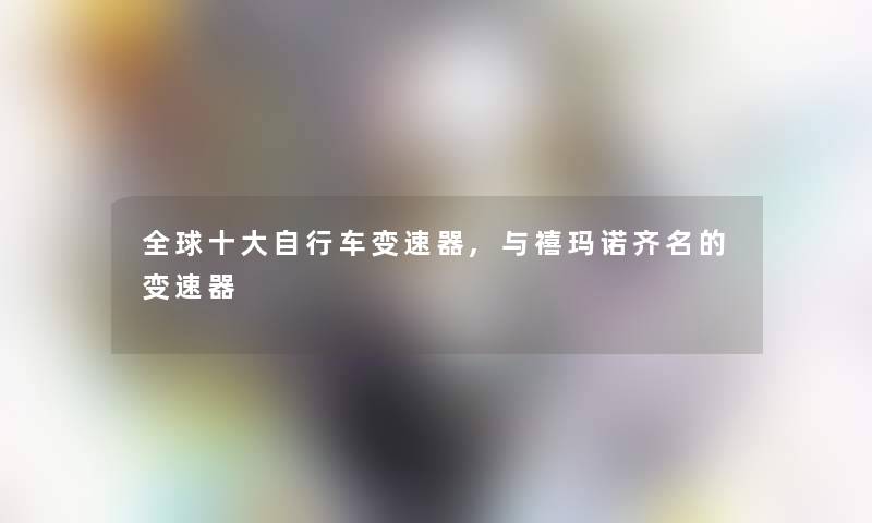 全球一些自行车变速器,与禧玛诺齐名的变速器 全球一些自行车变速器,与禧玛诺齐名的变速器