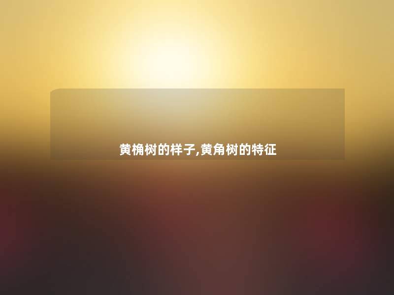黄桷树的样子,黄角树的特征