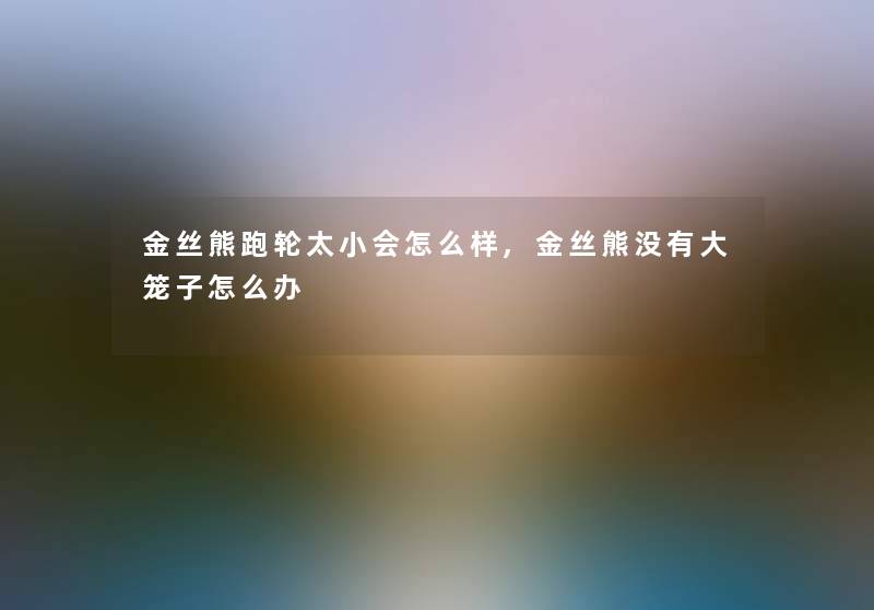 金丝熊跑轮太小会怎么样,金丝熊没有大笼子怎么办