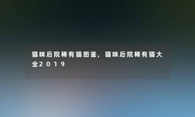 猫咪后院稀有猫讲解,猫咪后院稀有猫大全2019 猫咪后院稀有猫讲解,猫咪后院稀有猫大全2019