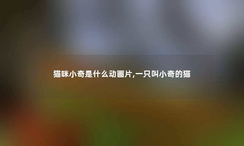 猫咪小奇是什么动画片,一只叫小奇的猫