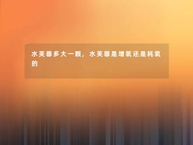 水芙蓉多大一颗,水芙蓉是增氧还是耗氧的