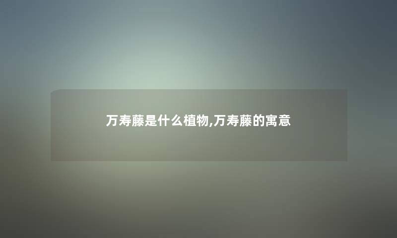 万寿藤是什么植物,万寿藤的寓意