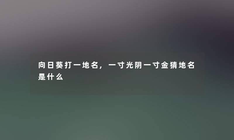 向日葵打一地名,一寸光阴一寸金猜地名是什么