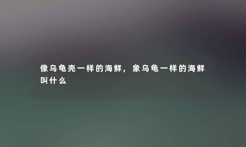 像乌龟壳一样的海鲜,象乌龟一样的海鲜叫什么