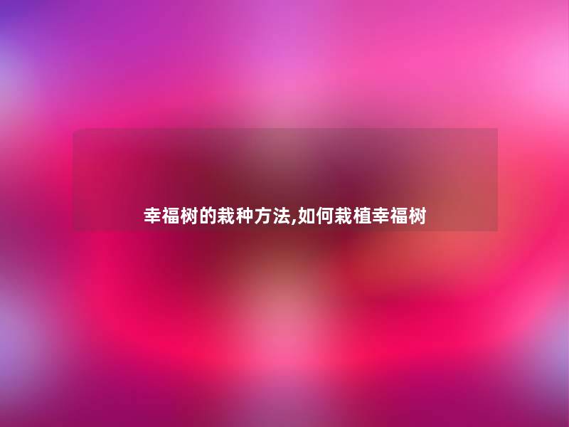 幸福树的栽种方法,如何栽植幸福树