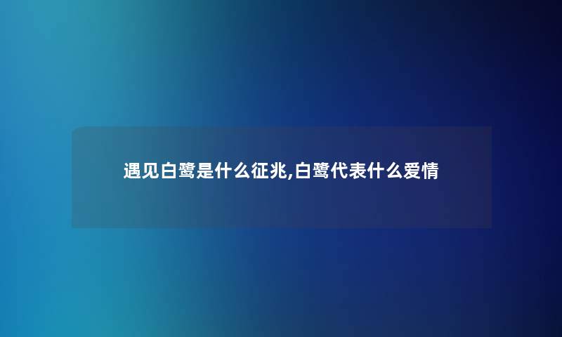 遇见白鹭是什么征兆,白鹭代表什么爱情