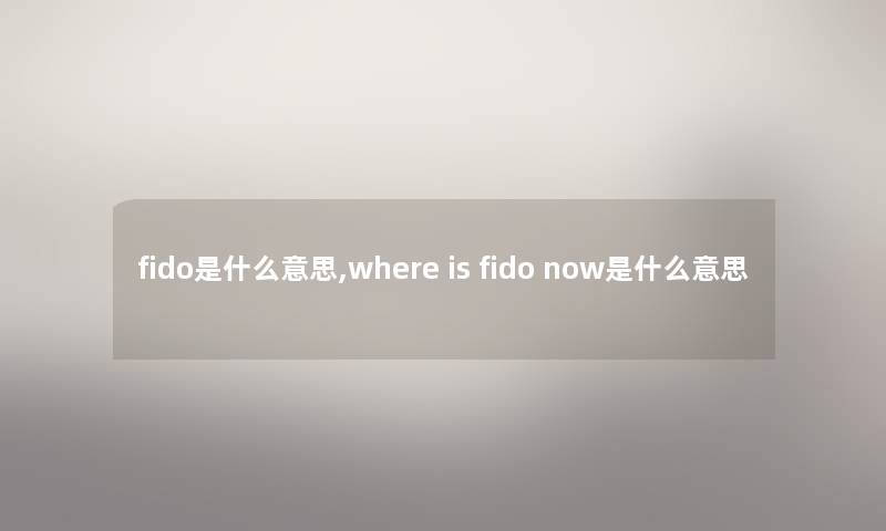 fido是什么意思,where is fido now是什么意思
