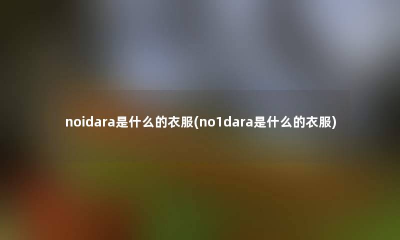 noidara是什么的衣服(no1dara是什么的衣服)