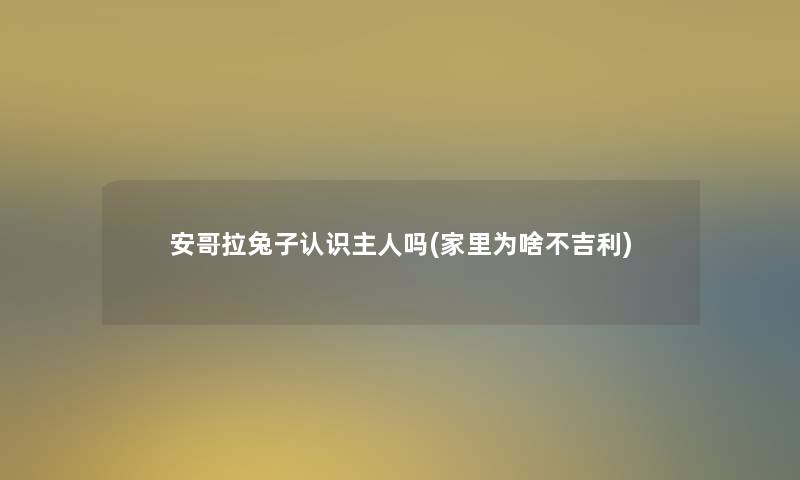 安哥拉兔子认识主人吗(家里为啥不吉利) 安哥拉兔子认识主人吗(家里为啥不吉利)