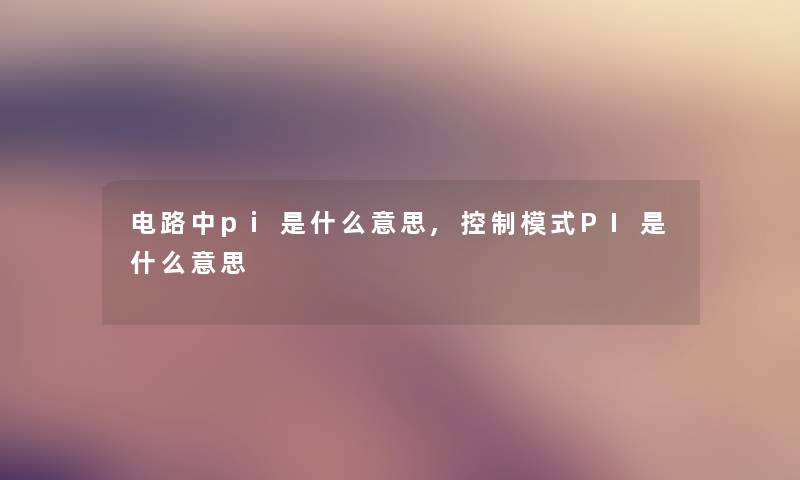 电路中pi是什么意思,控制模式PI是什么意思