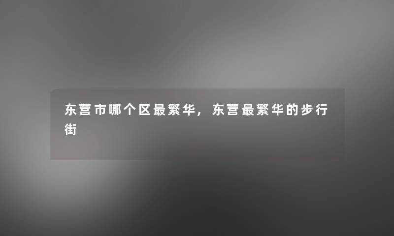 东营市哪个区繁华,东营繁华的步行街
