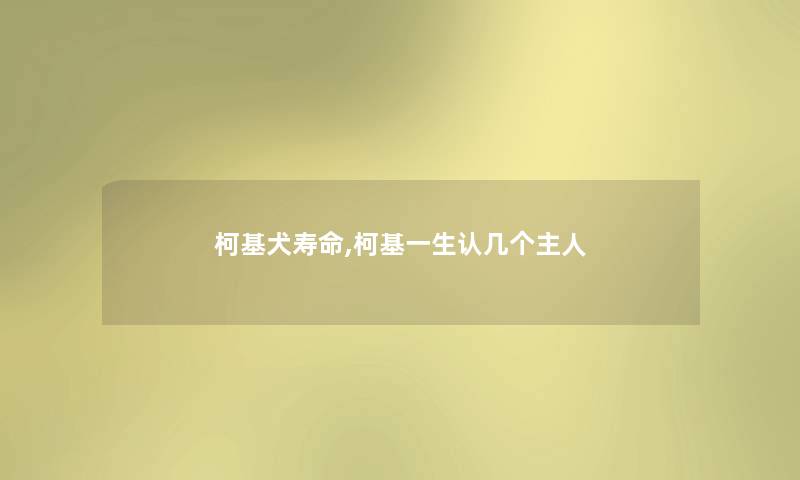 柯基犬寿命,柯基一生认几个主人
