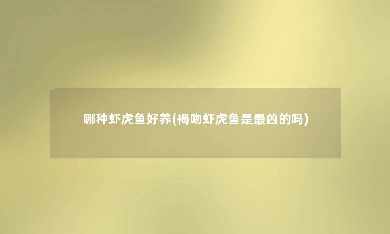 哪种虾虎鱼好养(褐吻虾虎鱼是凶的吗)