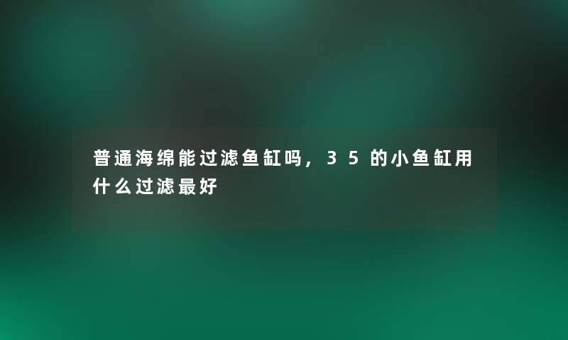 普通海绵能过滤鱼缸吗,35的小鱼缸用什么过滤好 普通海绵能过滤鱼缸吗,35的小鱼缸用什么过滤好