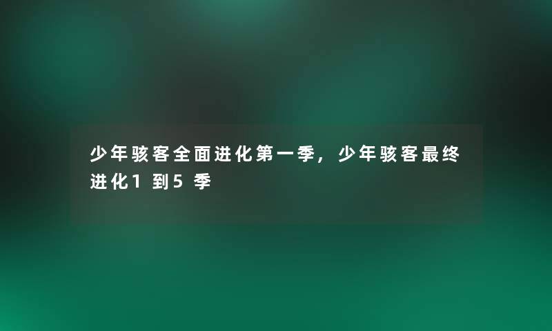 少年骇客全面进化第一季,少年骇客终进化1到5季