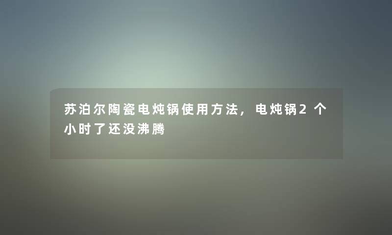 苏泊尔陶瓷电炖锅使用方法,电炖锅2个小时了还没沸腾