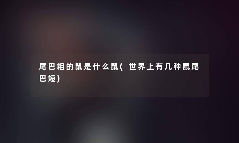 尾巴粗的鼠是什么鼠(世界上有几种鼠尾巴短)
