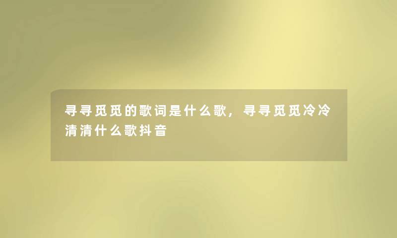寻寻觅觅的歌词是什么歌,寻寻觅觅冷冷清清什么歌抖音