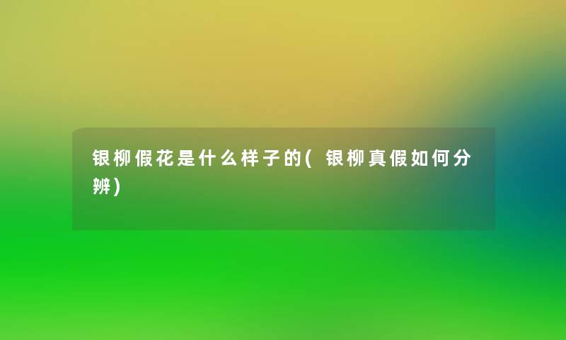 银柳假花是什么样子的(银柳真假如何分辨)