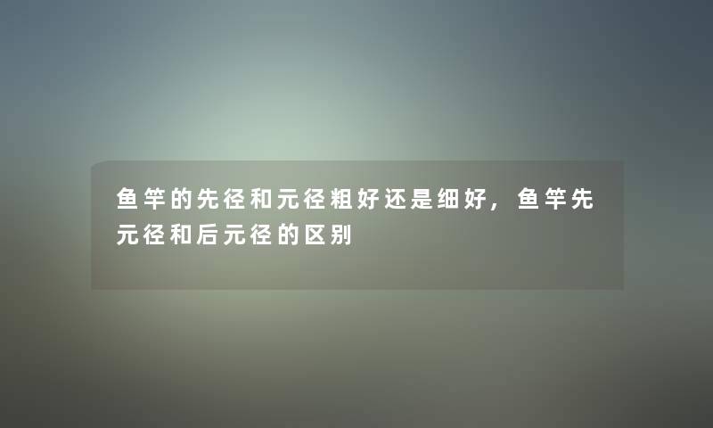鱼竿的先径和元径粗好还是细好,鱼竿先元径和后元径的区别 鱼竿的先径和元径粗好还是细好,鱼竿先元径和后元径的区别